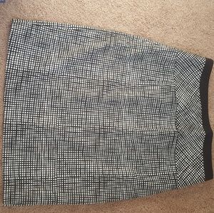 Express Pencil Skirt